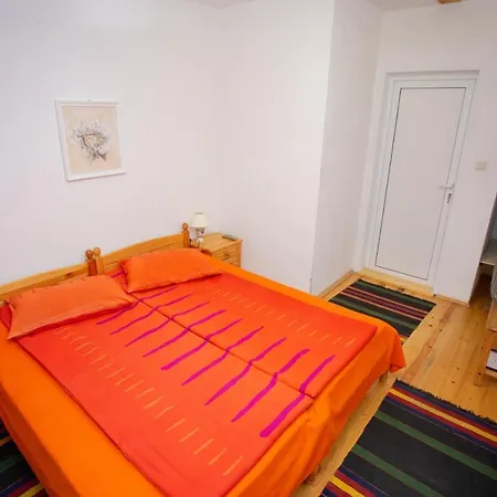 Gæstehus пъстрина