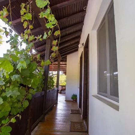 пъстрина Gæstehus