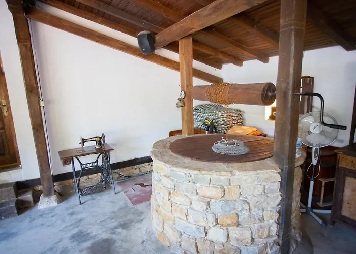 Gæstehus пъстрина