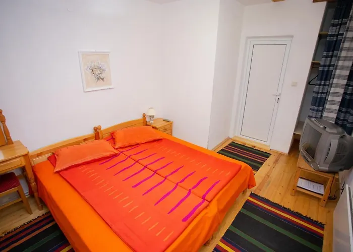 Gæstehus пъстрина